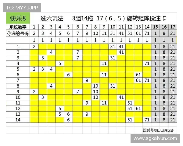 2串1比赛取消的原因及对投注者的影响分析